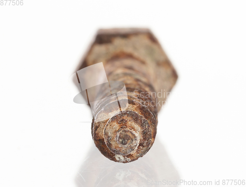 Image of Rusted old screw isolated
