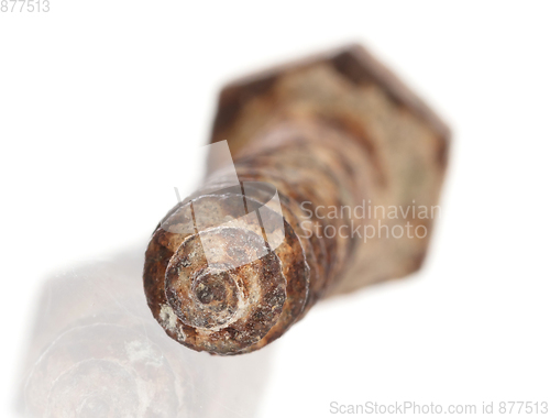 Image of Rusted old screw isolated