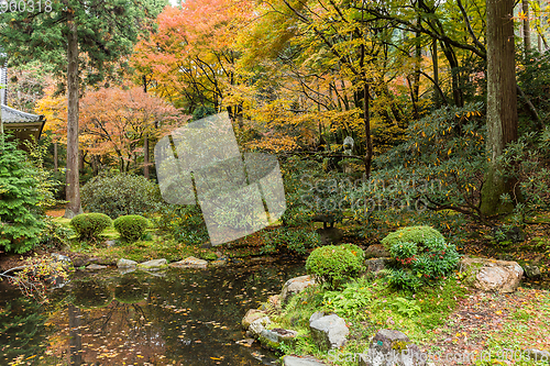 Image of Japanese temple garden at autumn