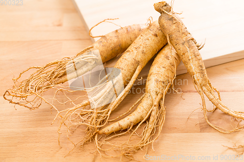 Image of Ginseng