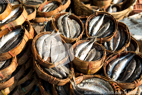 Image of Mackerel fish in round bamboo basket