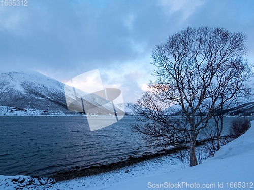 Image of Landscape in Winter, Kvaloya, Norway