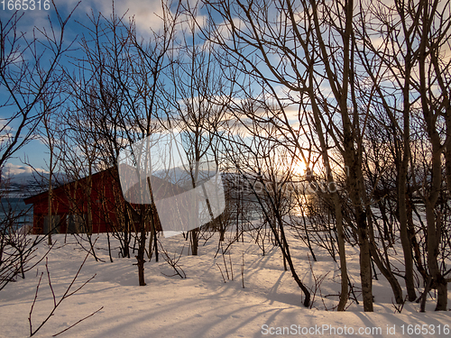 Image of Landscape in Winter, Kvaloya, Norway