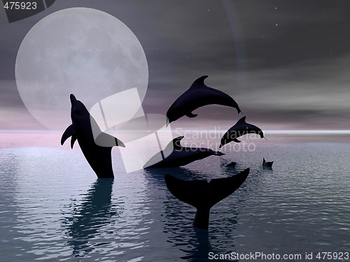 Image of Dolphins playing in the moonlight