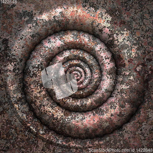 Image of petrification spiral