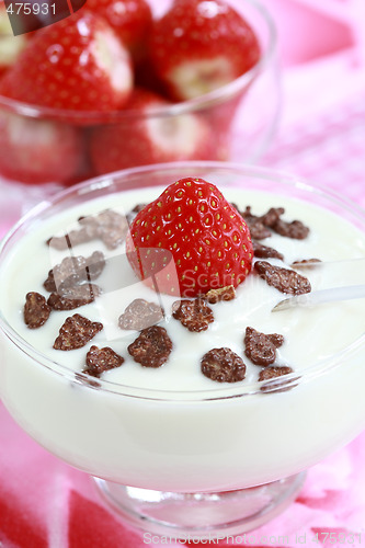 Image of White yogurt