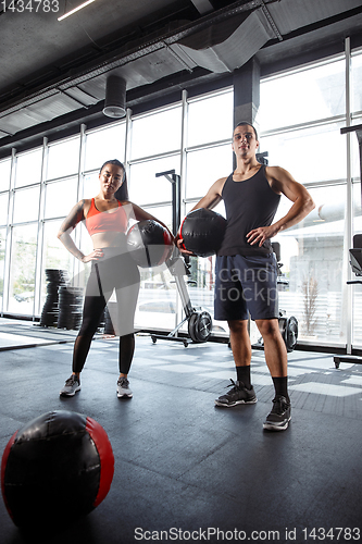 Image of A muscular athletes doing workout at the gym