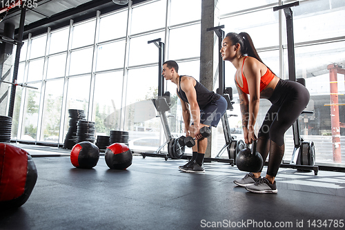 Image of A muscular athletes doing workout at the gym