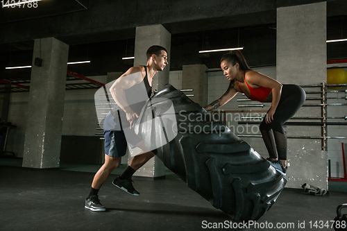 Image of A muscular athletes doing workout at the gym