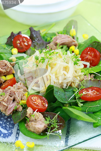 Image of Green salad with tunny