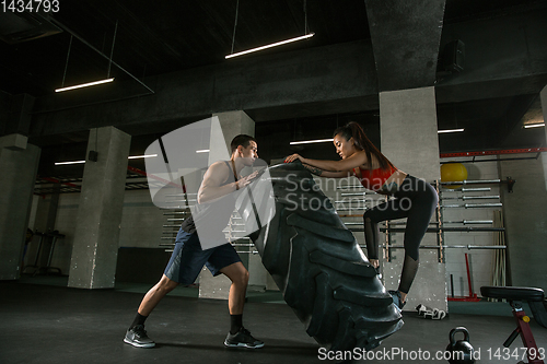 Image of A muscular athletes doing workout at the gym