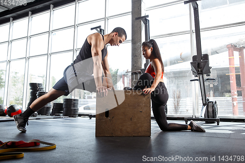 Image of A muscular athletes doing workout at the gym