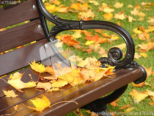 Image of Park bench in autumn close up