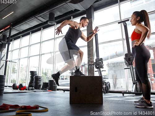 Image of A muscular athletes doing workout at the gym