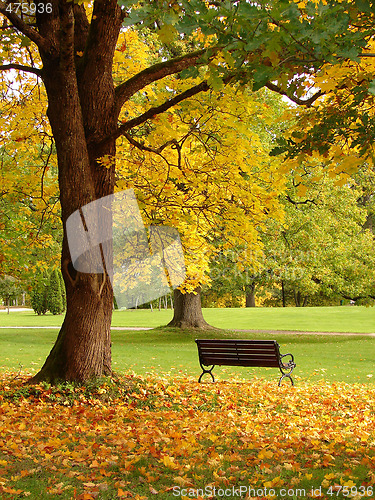 Image of City park in autumn