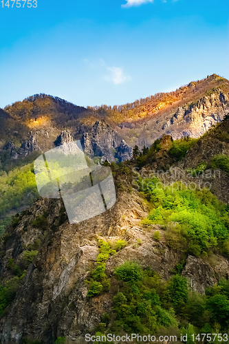 Image of Carpathian mountains in Romania