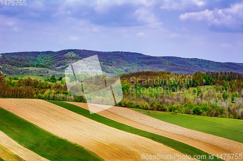 Image of Fields in Carpathian mountains