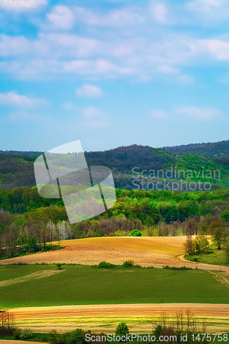 Image of Fields in Carpathian mountains