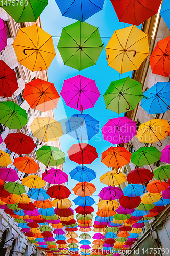 Image of Umbrella street in Timisoara