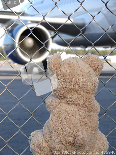 Image of Toy Teddy Bear and Plane 