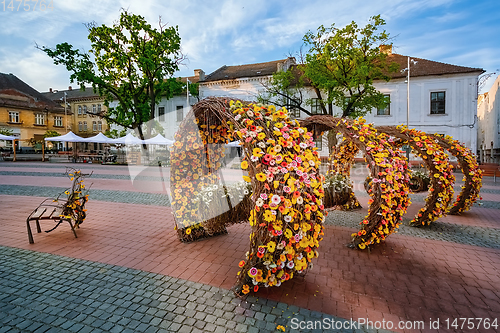 Image of Liberty Square in Timisoara, Romania