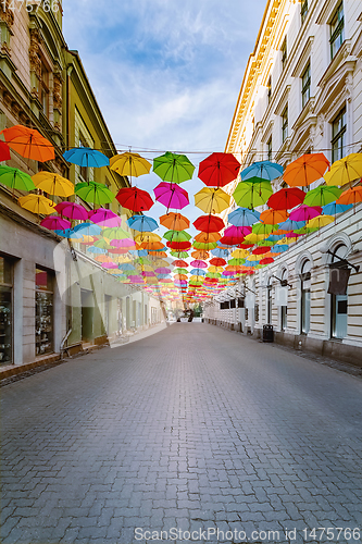 Image of Umbrella street in Timisoara