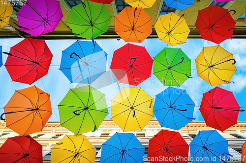 Image of Umbrella street in Timisoara