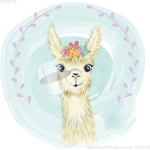 Image of Happy cute little llama smiling