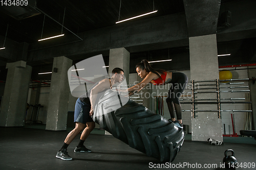 Image of A muscular athletes doing workout at the gym