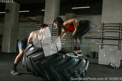 Image of A muscular athletes doing workout at the gym