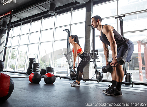 Image of A muscular athletes doing workout at the gym