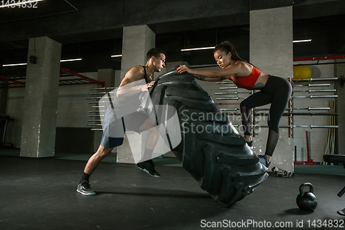 Image of A muscular athletes doing workout at the gym