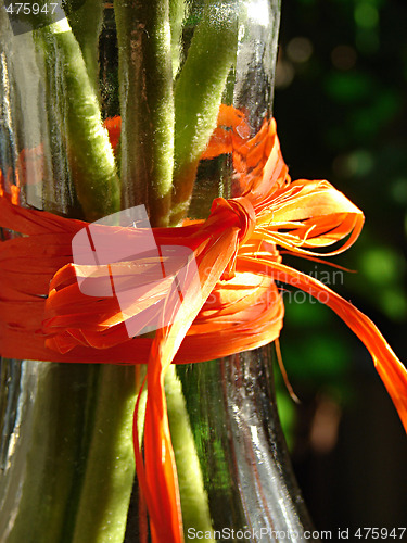 Image of Red Bow