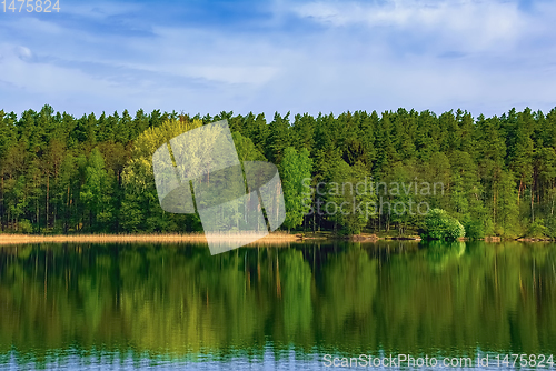 Image of Forest by the lake