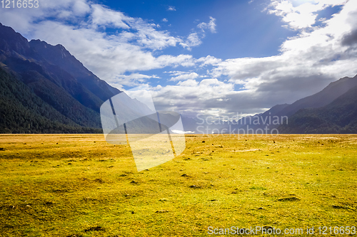 Image of Fiordland national park, New Zealand