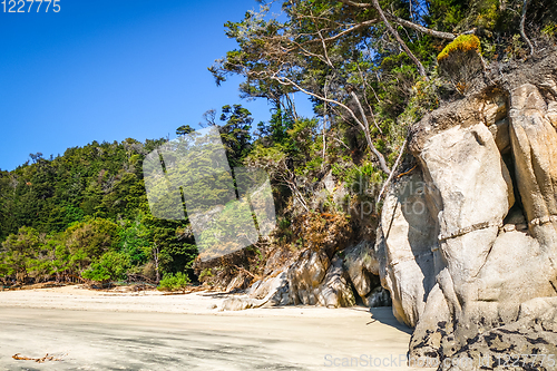 Image of Creek in Abel Tasman National Park, New Zealand