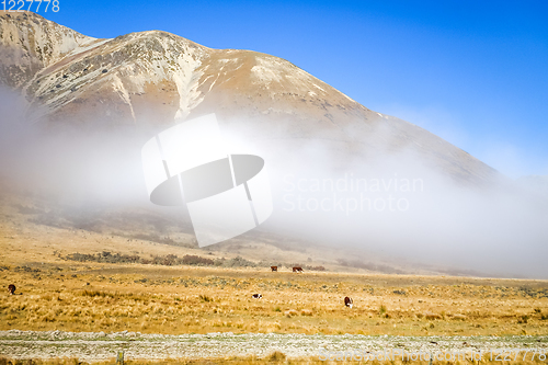 Image of Mountain fields landscape in New Zealand