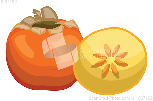 Image of Cartoon of an orange persimmon fruit half a yellow persimmon wit