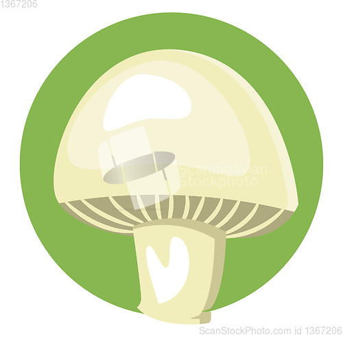 Image of Mushroom vector color illustration.