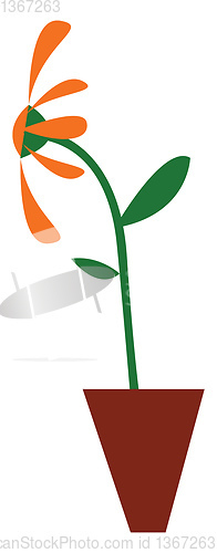 Image of A sunflower facing sun vector or color illustration