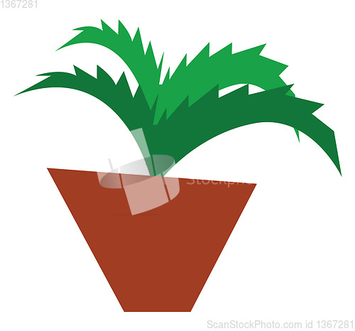 Image of An aloe vector or color illustration