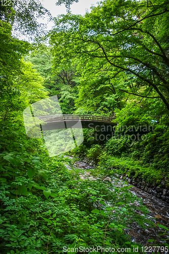 Image of Traditional japanese wooden bridge in Nikko, Japan