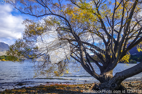 Image of Lake Wakatipu, New Zealand