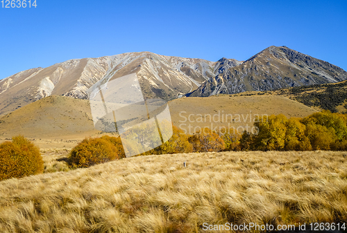 Image of Mountain fields landscape in New Zealand