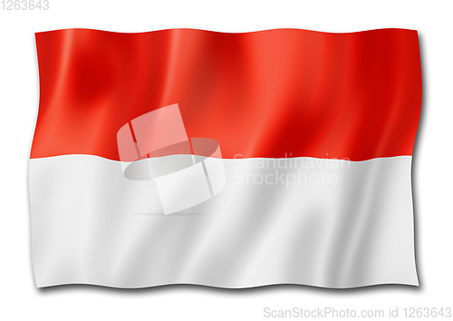 Image of Monaco flag isolated on white