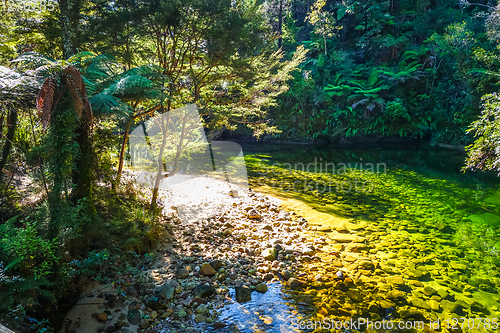 Image of River in Abel Tasman National Park, New Zealand