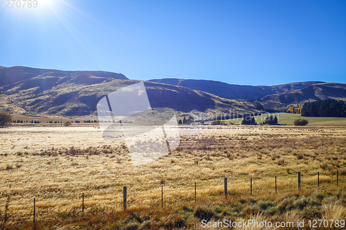 Image of Mountain fields landscape in New Zealand