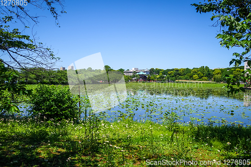 Image of Shinobazu pond and Benten Hall Temple, Ueno, Tokyo, Japan