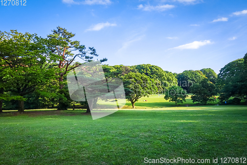 Image of Yoyogi park garden, Tokyo, Japan