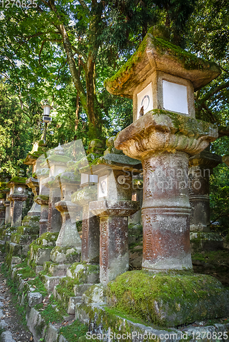 Image of Kasuga-Taisha Shrine lanterns, Nara, Japan